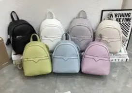 Genti si accesorii femei engros
