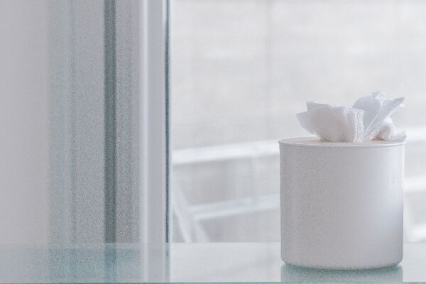 wet wipe products for wholesale distribution