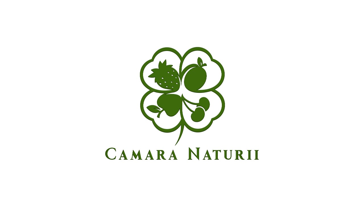 Logo DULCEATA DE FAMILIE SRL