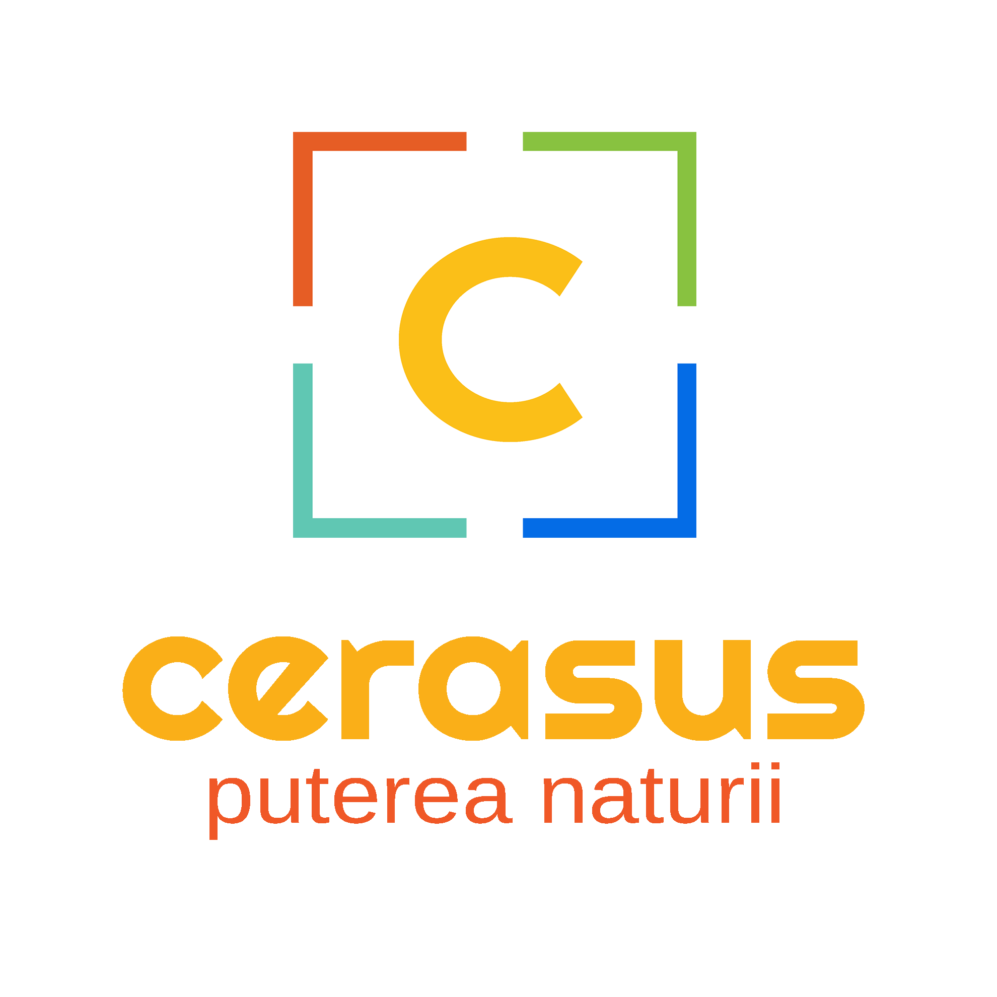 Logo Cerasus