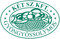 Logo Jomo, Zaghis, Boomza