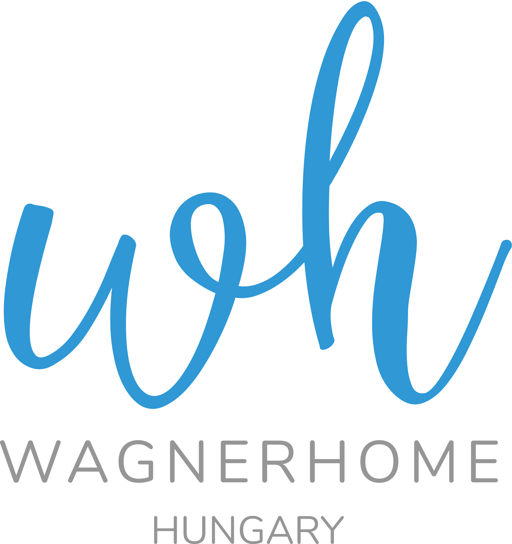 Logo W-Home Kft.