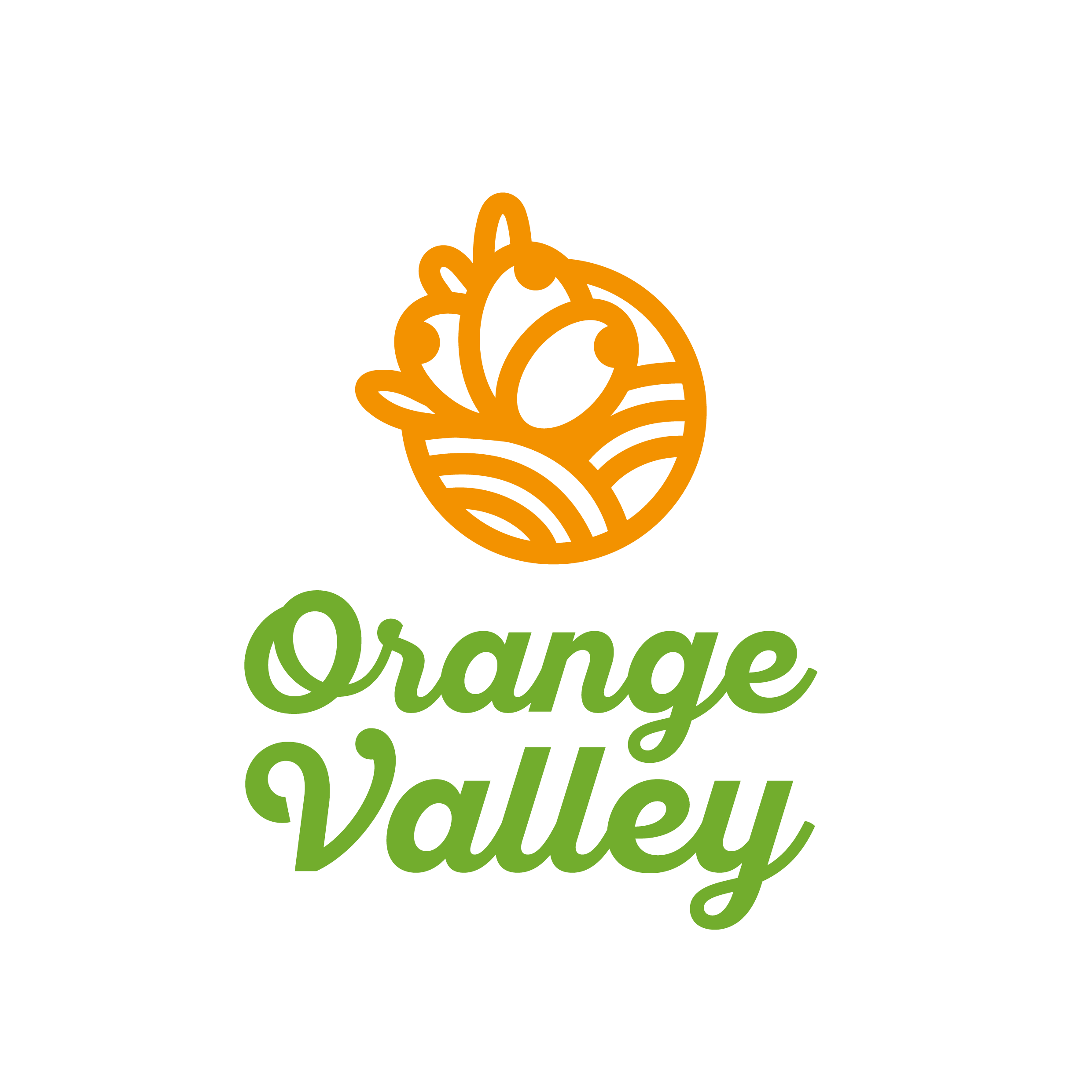 Logo Orange Valley Bio SRL