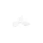 Tips for french 16918, wholesale Supreva