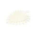 Practice heart palette set 10 - Milk 1805, wholesale Supreva