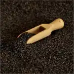 Mac Seminte - CIS Condimente 100g – Plic engros Supreva