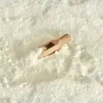 Nuca De Cocos - CIS Condimente - 100g - Plic engros Supreva