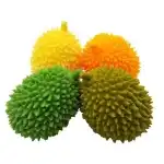 JUCARIE DURIAN ANANAS 2854-3, en gros Supreva