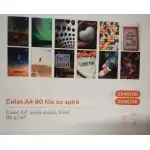 CAIET A4 80FILE SPIRA ECADA 29481AR, engros Supreva