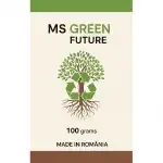 Hârtie Igienică Ecologică – 100g/rolă, Set 12 Bucăți