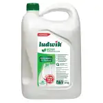 LUDWIK Dishwashing detergent Menta 5L, wholesale goods