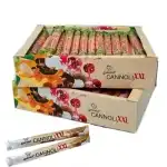 Crispy rolls with cream Cannoli XXL, 42gx40, wholesale