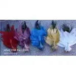 Ornament paun 26 cm.21-16