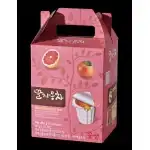 Honey Grapefruit Tea 15T x 30 gr, wholesale