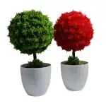 Small tree pot 32cm, wholesale
