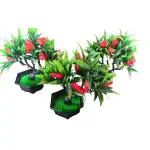 Fruit tree pot, wholesale