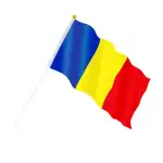 Steag romania, engros