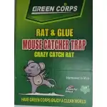 Glue trap for mice and rats, 13497, wholesale