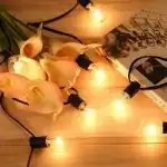 Warm White String Lights 7.5m 25 Bulbs, 20342, wholesale
