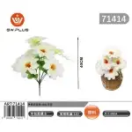 Buchet de cosmos alb cu 10 căpșuni, 71414, en-gros