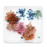 Decor pentru unghii, flori uscate D25