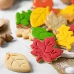 Horseshoe-shaped plastic cookie sheet, T09529, wholesale
