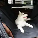 COVORAȘ AUTO PENTRU SCAUNUL CÂINELUI COVORAȘ DE PROTECȚIE PENTRU SCAUN