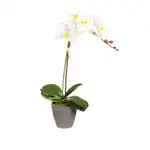Mesterséges orchidea cserépben, 38 cm, M Deco, Supreva nagykereskedés