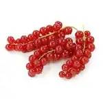 Sirop de Coacaze Rosii -500ml, en gros Supreva