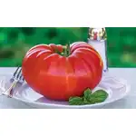 Spicy Tomato Delight - 190g, wholesale Supreva