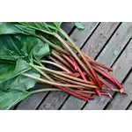 Rhubarb Ginger Jam - 190g, wholesale Supreva