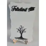 Placa baza licheni absolvire a4