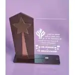 Trofeu plexiglass model 3 invatator   educator stea aurie