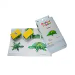 Turtle - Creative DIY Modular Origami Kit