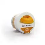 Hristina Cosmetics lip gloss, 30 ml - Melon flavor, buy in bulk