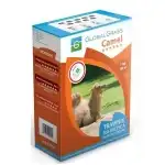 Globalgrass grass mixture Camel for sunny pitches, 1 kg, wholesale