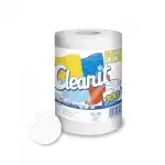 Cleanit 300