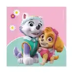 Paw Patrol Șervețel Skye și Everest, 33 x 33 cm, 20 buc/buc, en-gros Supreva