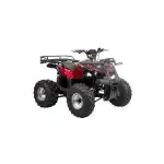 Електрическо ATV HECHT 56150 Червен, акумулатор 60 V / 20 Ah, максимална скорост 35 км/ч, максимално поддържано тегло 120 кг, червен Supreva на едро