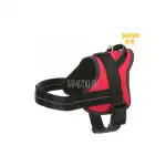 Julius-K9 - Pure Harness - Red Harness 22mm×51-67cm - S, nagykereskedelmi Supreva