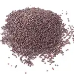 Mustar maro boabe 5 KG, angro Supreva