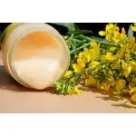 Miere de Rapita 950g, en-gros
