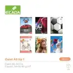 CAIET A5 TIP 1  ECADA