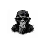 Vászonfestmény kerettel, Cool Monkey, 50x50cm, Model 32, nagyker Supreva