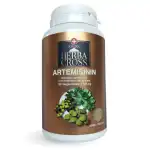 ARTEMISININA - SWEET WORME - PARAZITI, VIRUSURI, BACTERII, CIUCPERI, TUMORI, TOXINE - 100 comprimate X 530 mg