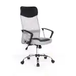 Krzesło wykonawcze Danas, szare, 62x59x109-119 cm,, hurtownia Supreva