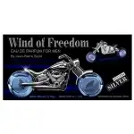 Eau de parfum férfiaknak, Wind of Freedom, Accentra, 30 ml nappali és 50 ml éjszakai