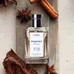 Férfi parfüm Loris Frequency Woody E-149, 50 ml Nagyker Supreva