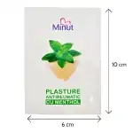 Ментолови противоревматични лепенки Minut 6cm X 10cm, 24 бр, Supreva на едро