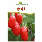 GOJI AG 300G WHOLESALE ABOVE
